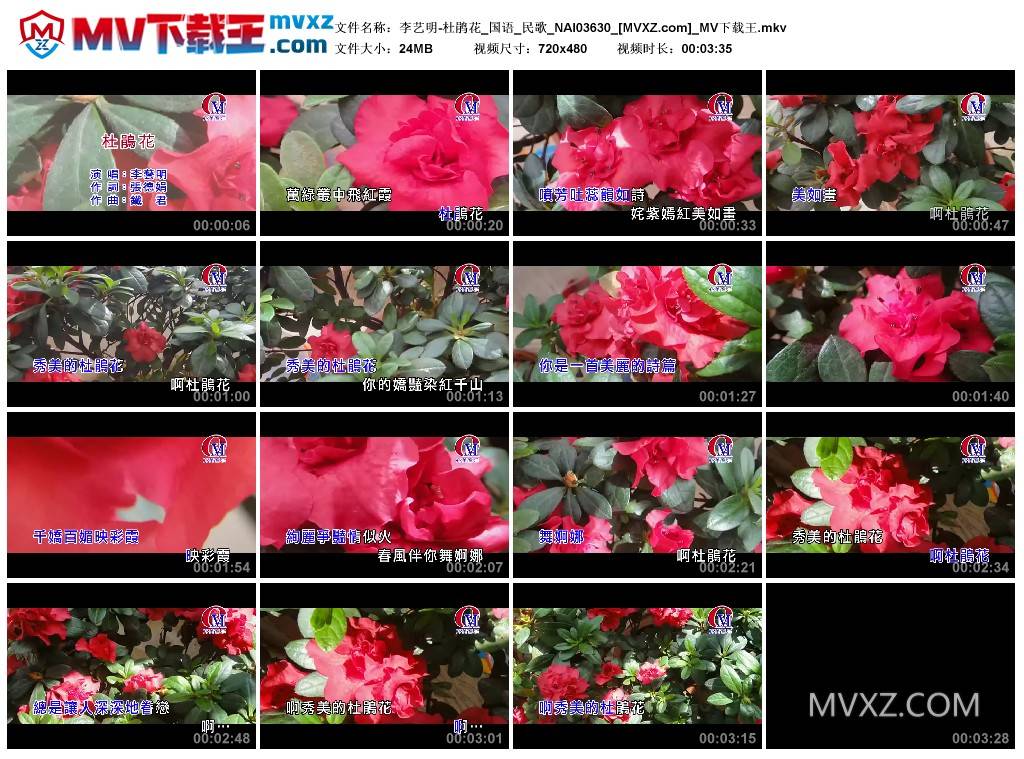 李艺明-杜鹃花_国语_民歌_NAI03630